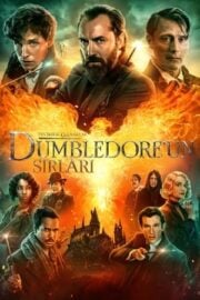 Fantastik Canavarlar: Dumbledore’un Sırları tek parça izle