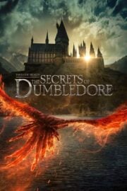 Fantastik Canavarlar 3: Dumbledore’un Sırları tek parça izle