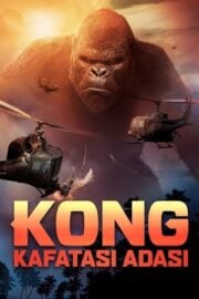 Kong: Kafatası Adası imdb puanı